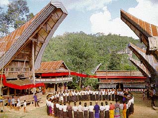 Tarian Pitu, 7 Peradian Adat Tradisional Suku Toraja