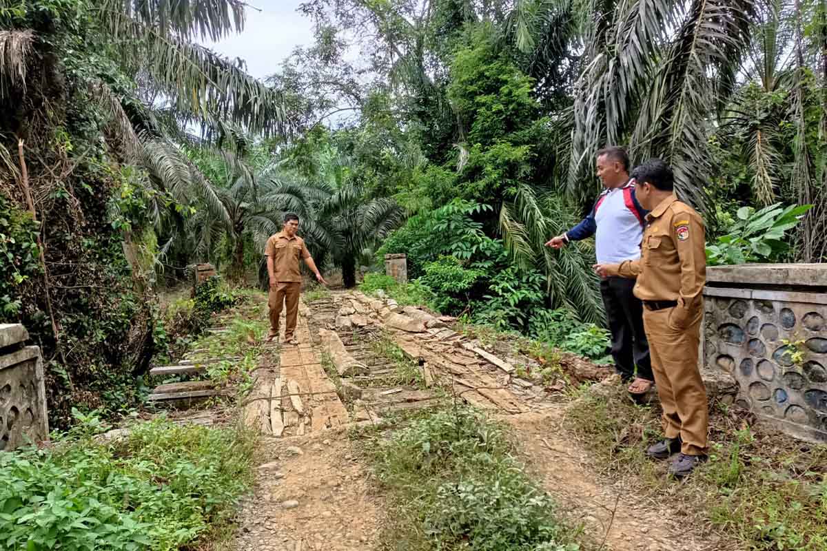 Jadi Akses Penghubung Desa, Padang Gading Minta Rehab Jembatan