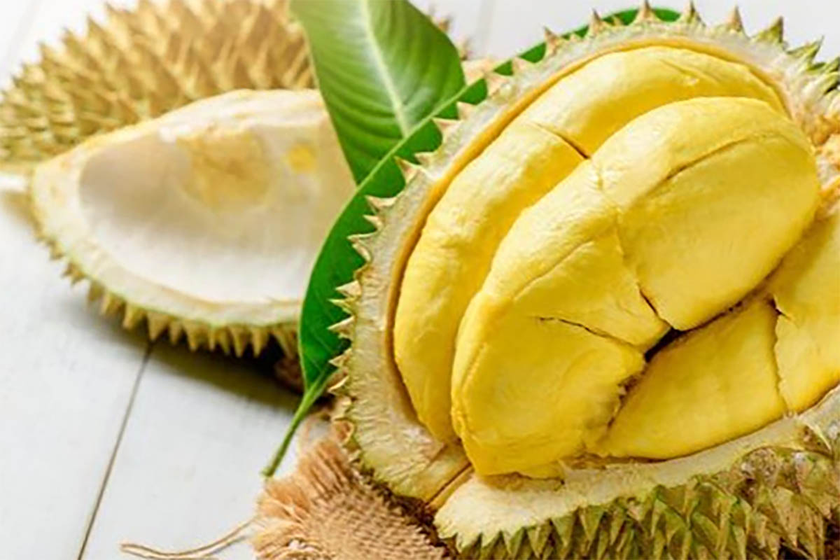 Dijuluki Raja Buah Tapi Tak Semua Orang Bisa Memakannya, Ini Orang yang Harus Berhati-hati Makan Durian