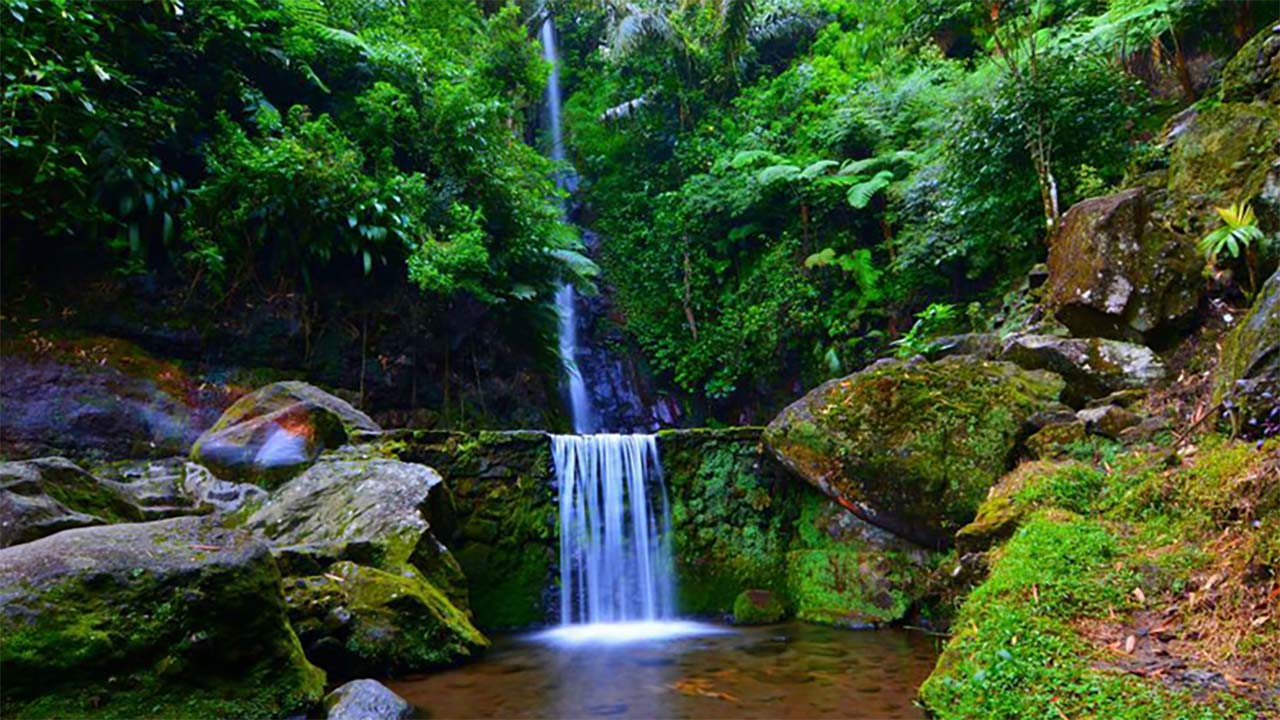 Tak Hanya Indah Tapi juga Menyegarkan! Inilah Keindahan Pesona Wisata Parang Ijo di Solo