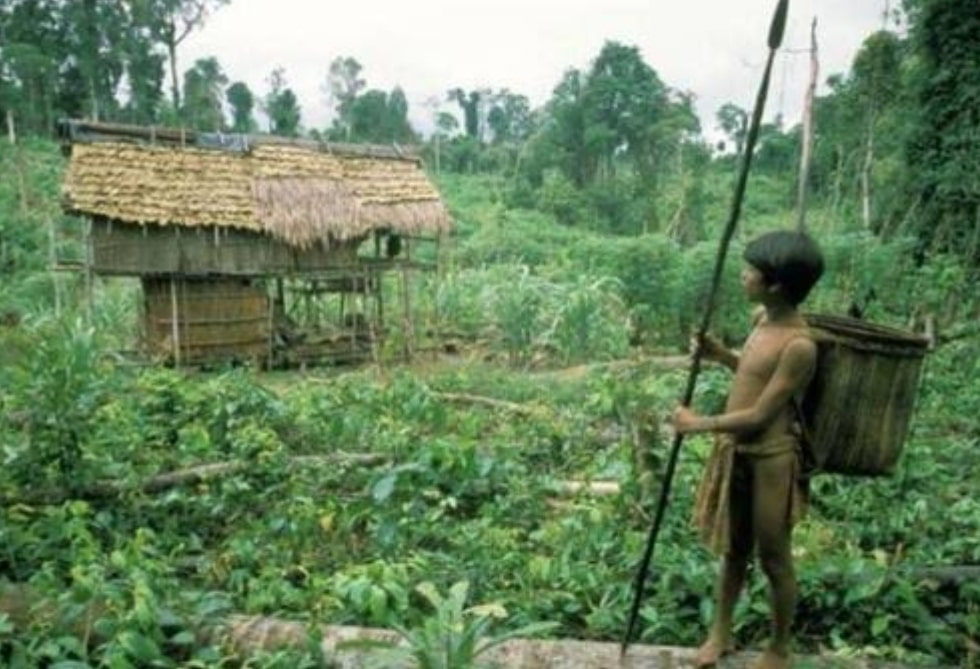Alasan Suku Kubu Lari ke Hutan, Ogah Menyerah Pada Belanda dan Pantang Dunia Terang
