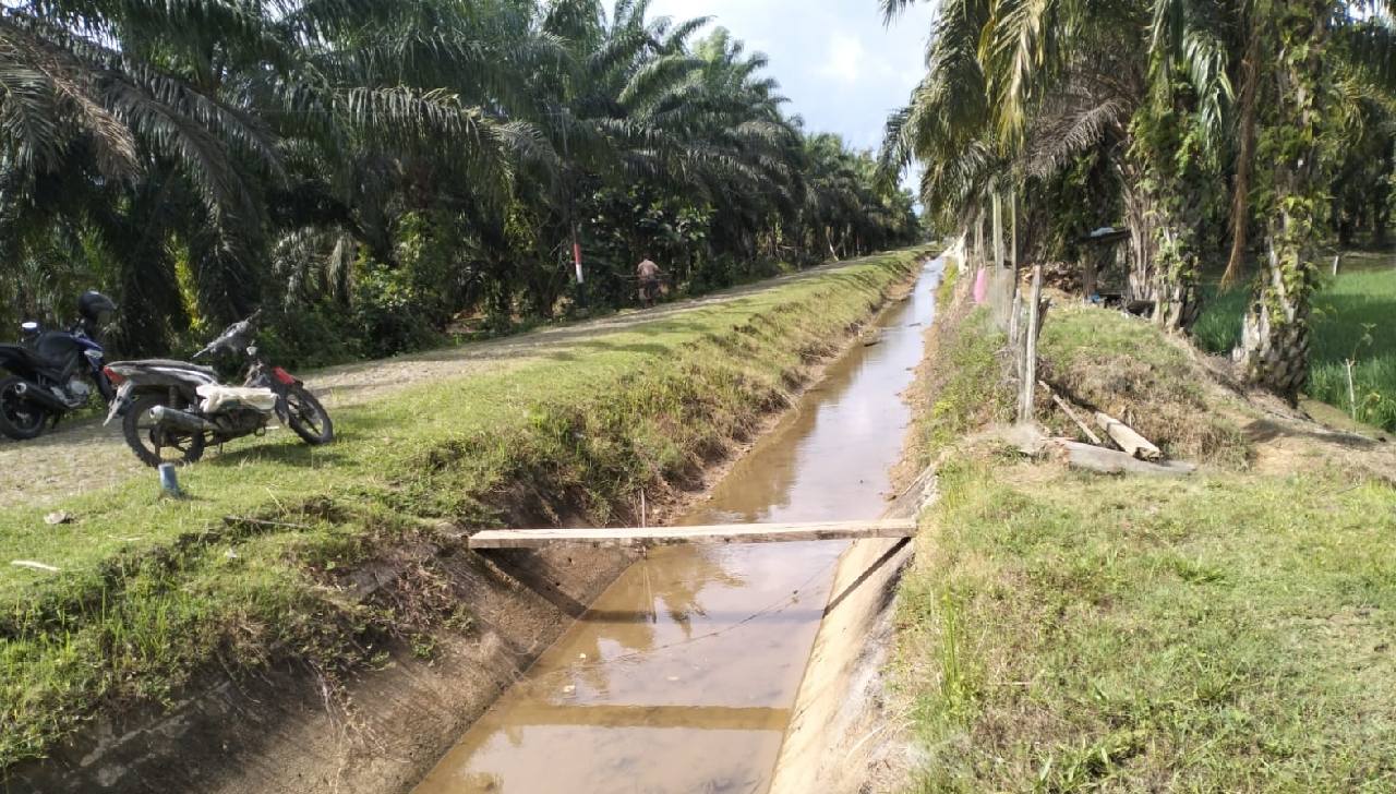 Saluran Sekunder Daerah Irigasi Manjuto Rusak, Petani: Kami Minta Kepedulian BWS