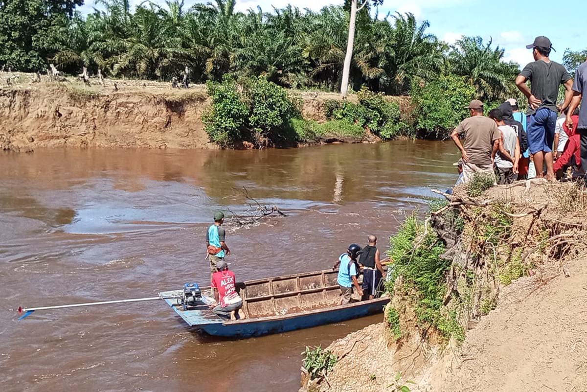 Info Terbaru, PNS Mukomuko dan Tukang Panen Sawit Hilang di Sungai Lunang