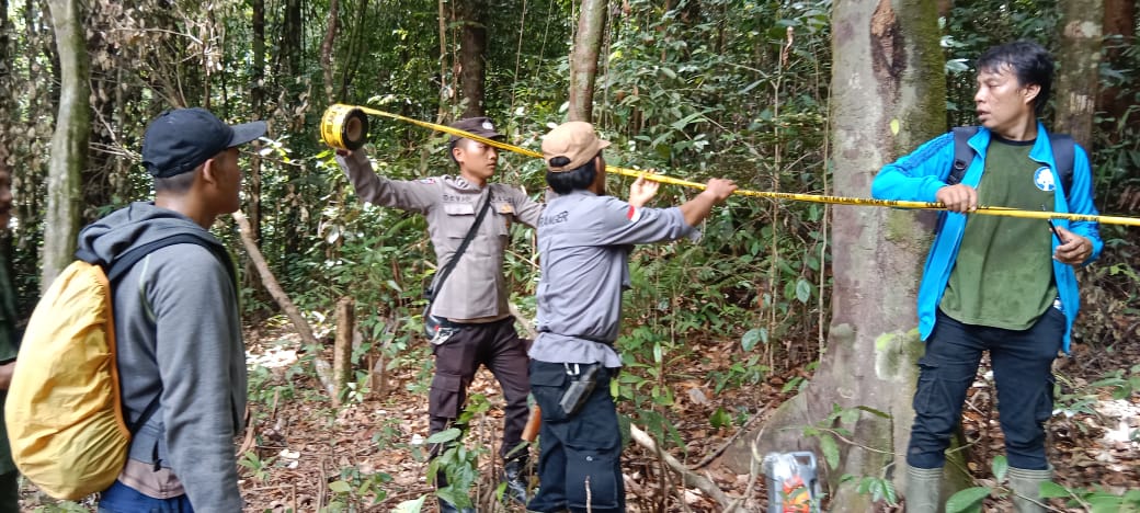 ﻿Dua Perusahaan Sawit Ini Terlanjur Garap HPT, Kok Bisa?