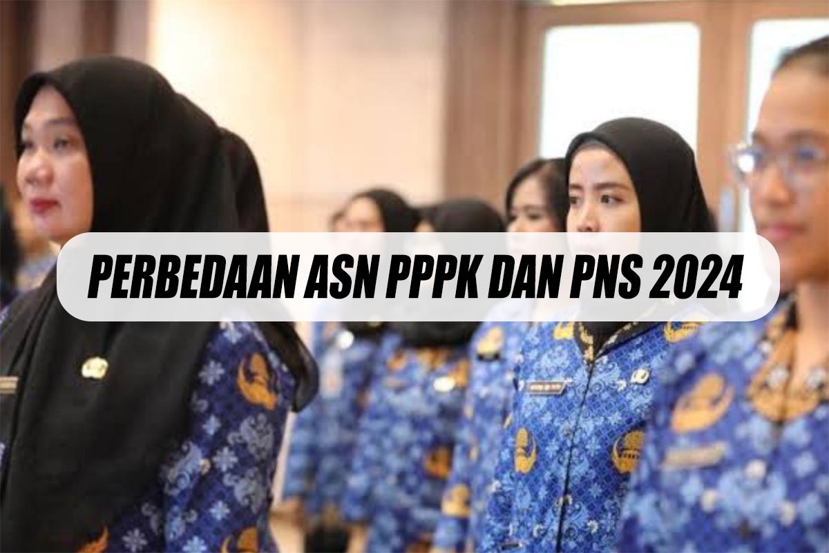 Perbedaan Terbaru ASN PPPK dan PNS, Ternyata Mulai Dari Proses Seleksi Tak Sama