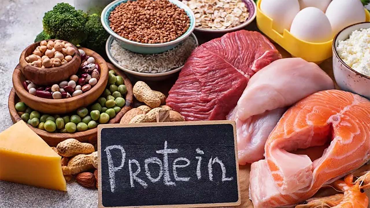 3 Alasan Mengapa Tubuh Membutuhkan Asupan Protein Tinggi