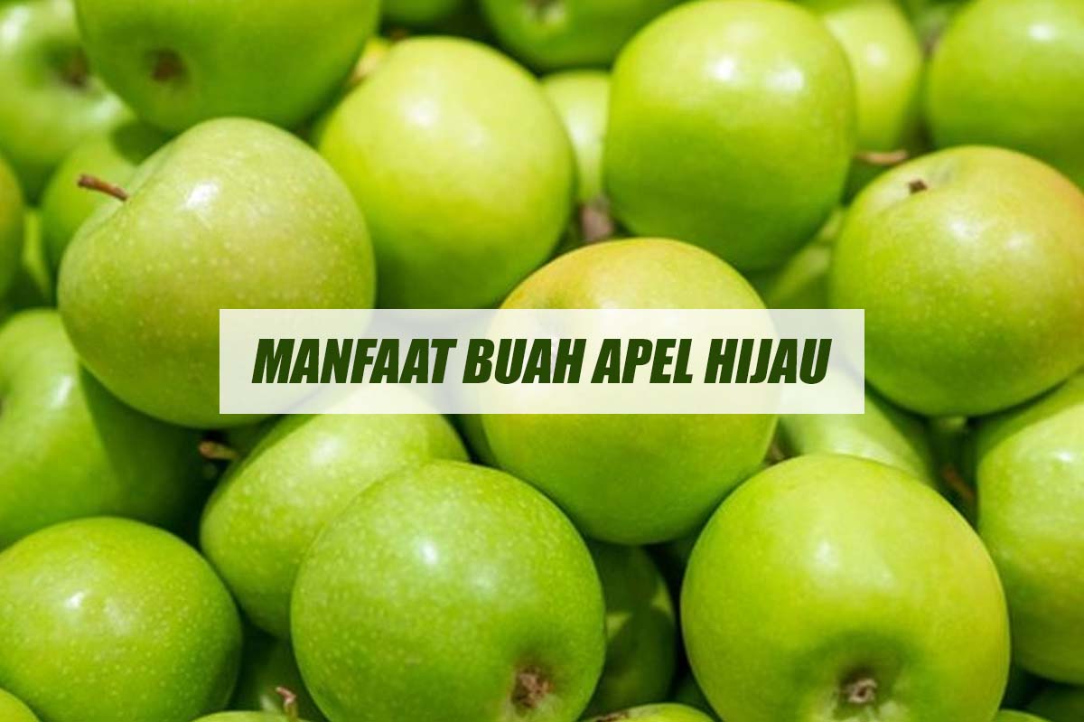 Catat! Inilah Kandungan serta Manfaat Buah Apel Hijau Bagi Kesehatan