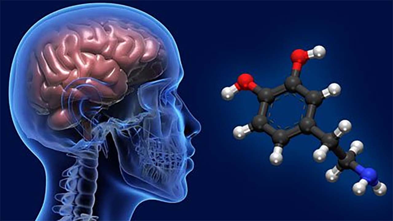 Apa Itu Dopamin? Fungsi dan Manfaatnya