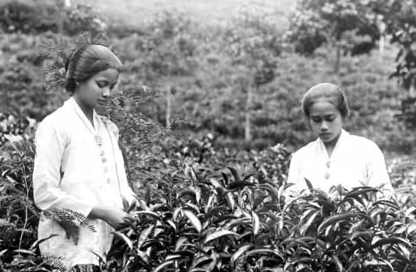 Orang Sunda Tidak Mau Disebut Orang Jawa Walau Berasal Dari Pulau Jawa, Ternyata Ini Alasannya