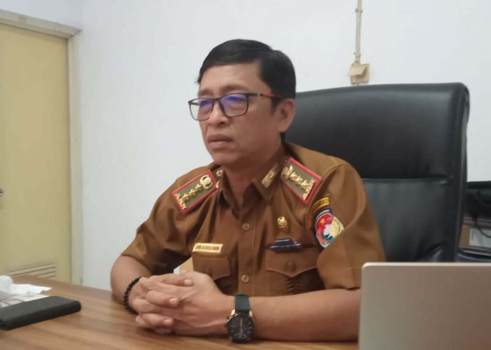 Pemerintah Permudah Layanan Penerbitan Izin Usaha, DPMPTSP Mukomuko: NIB Bisa Diproses dari Rumah