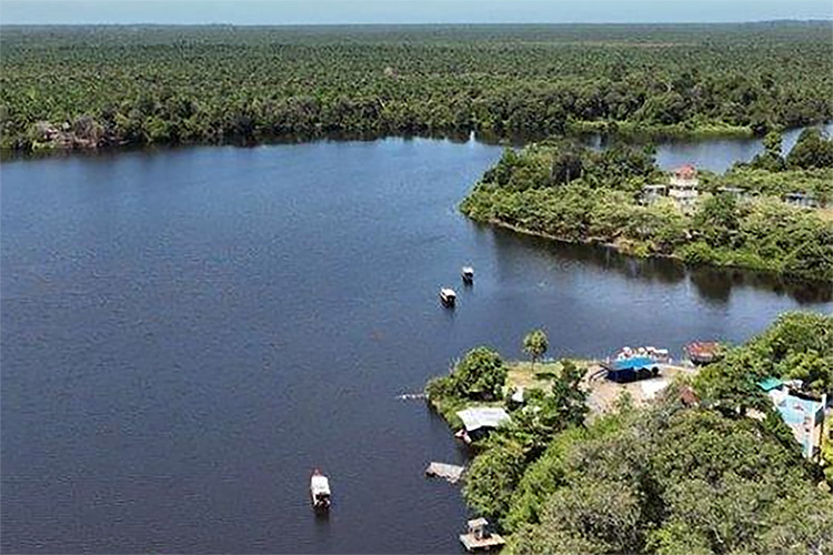 Intip Pesona Danau Nibung Mukomuko, Tempat Wisata Favorit Banyak Kalangan