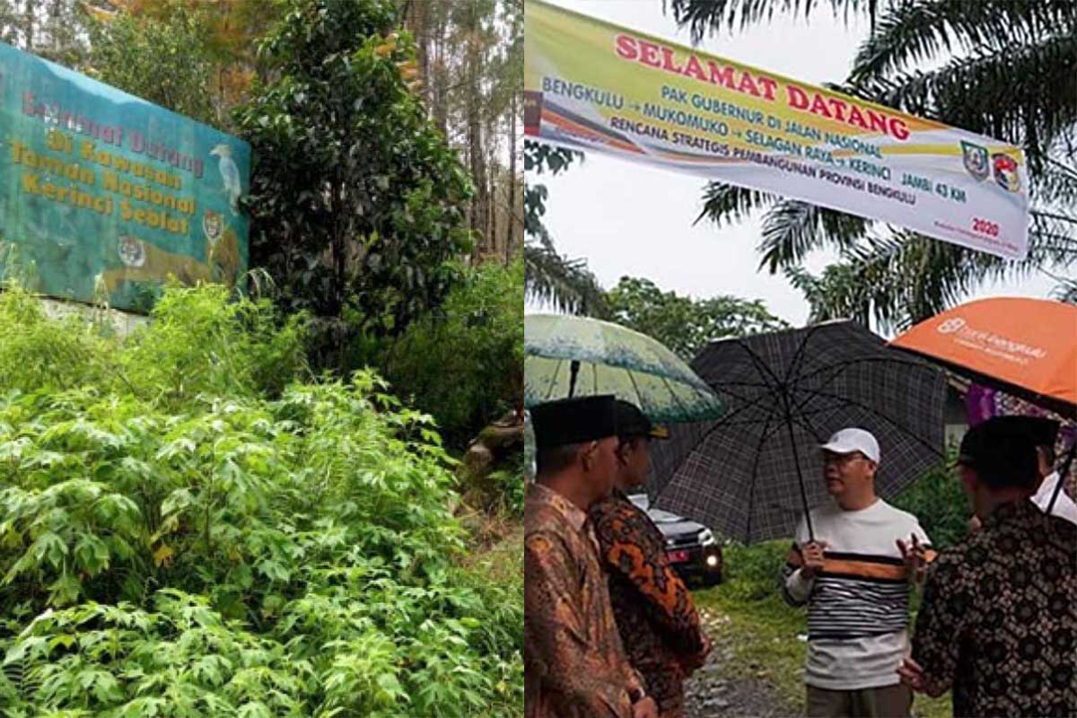 Jalan Baru Kerinci-Mukomuko Melalui Kawasan TNKS Sudah Tembus, Hanya 45 Km Jalan Kaki Cukup Setengah Hari