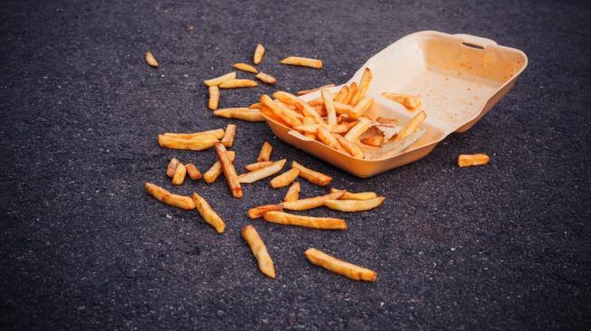 Makanan Yang Jatuh Belum 5 Menit Boleh Diambil, Begini Penjelasannya