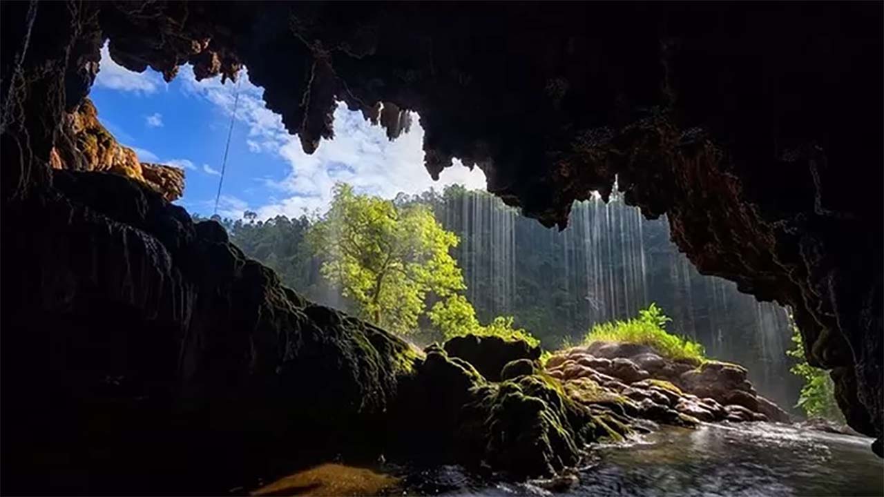 Unik dan Memukau, Begini Keindahan Alam Wisata Tetes Cave di Jawa Timur