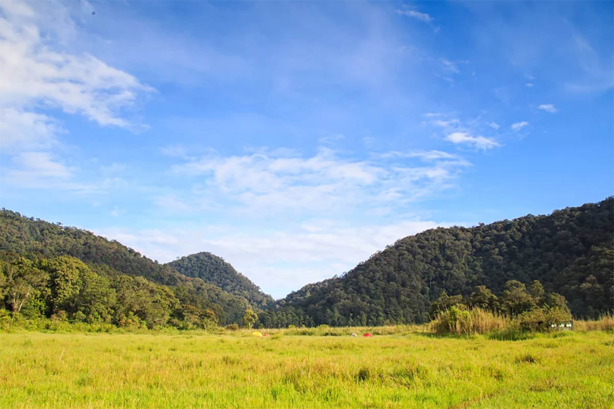 Wisata Healing Forest di Ranca Upas, Lembang: Berjalan di Hutan dan Berendam di Onsen