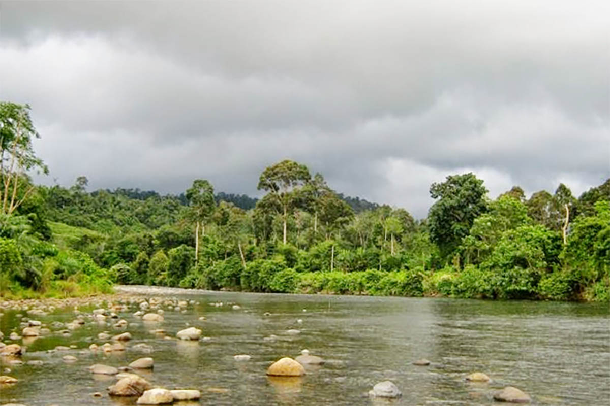 Mengenal Mukomuko, Terdapat 8 Aliran Sungai Dihuni Binatang Buas, Terkenal Banyak Ikannya