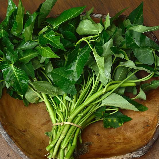 Ini Manfaat Sayur Kangkung untuk Tubuh Yang Jarang Diketahui