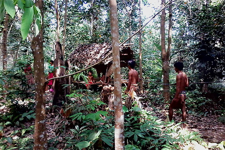 Menolak Tunduk Pada Belanda, Suku Kubu Pindah ke Hutan Belantara Hingga Menjadi Suku Terasing