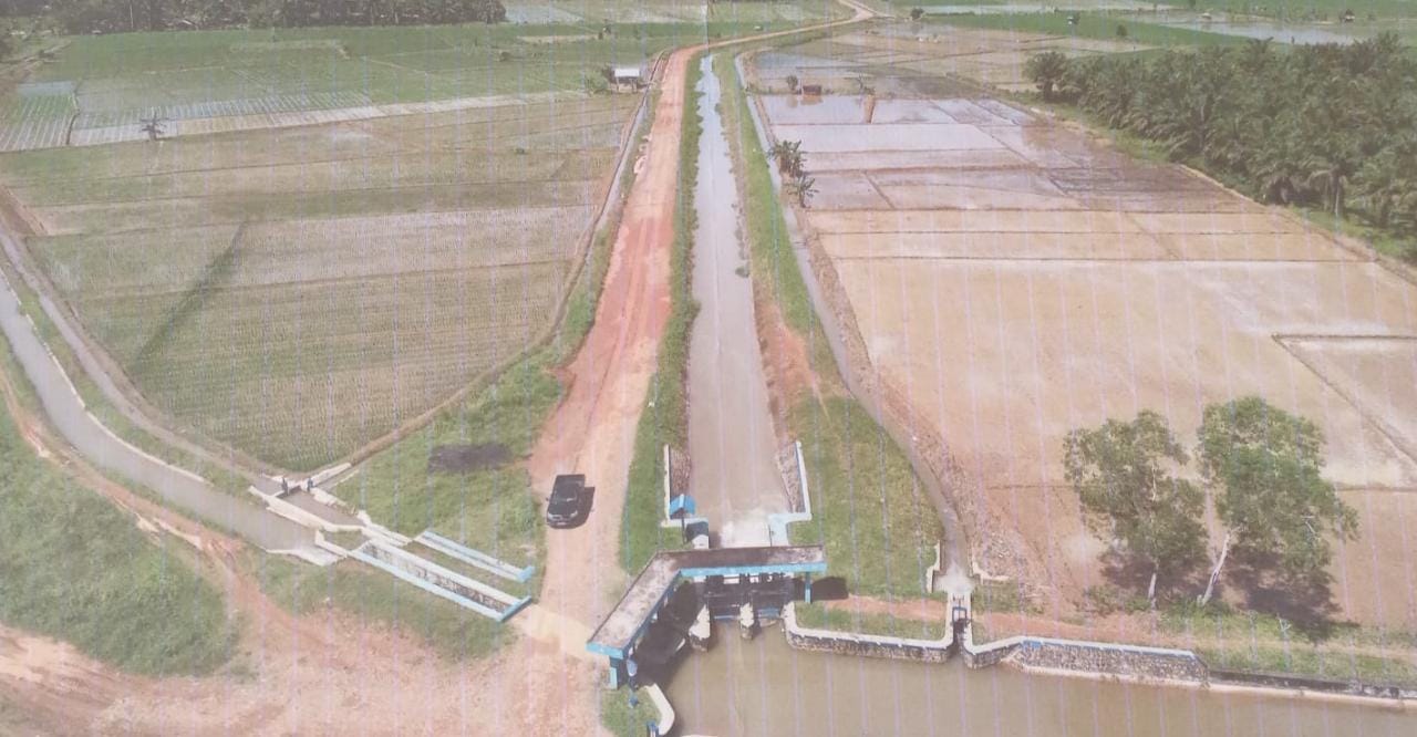 Mukomuko Miliki Lahan Sawah Produktif yang Cukup Luas, Ini Faktanya