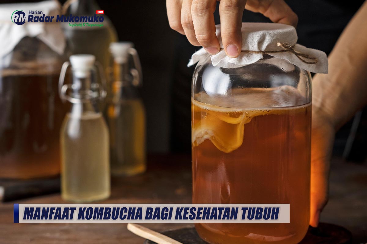 Manfaat Kombucha Bagi Kesehatan Tubuh, Salah Satunya Dipercaya Bisa Menurunkan Kolesterol