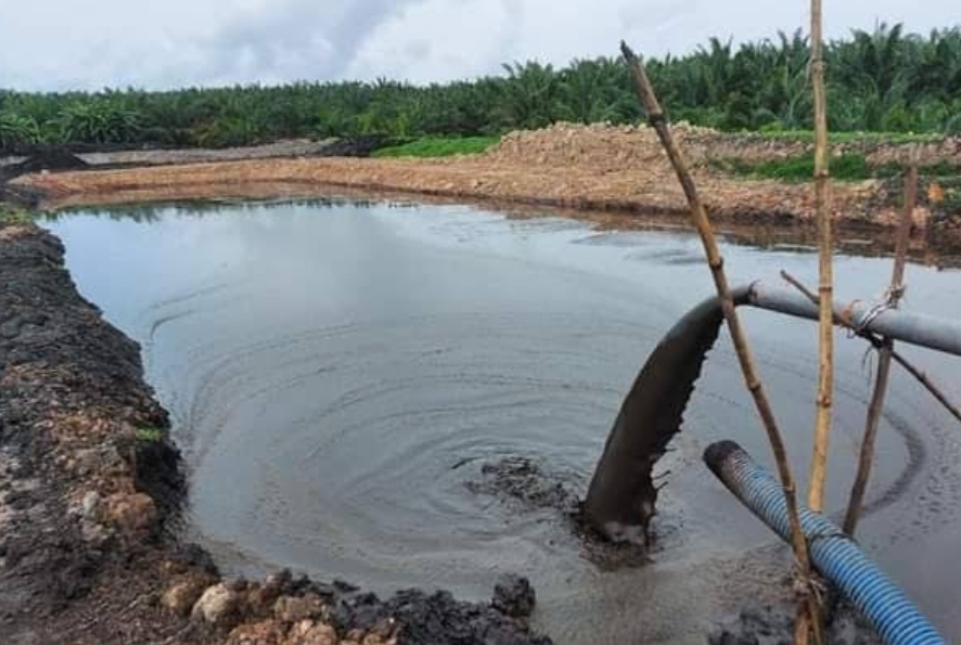 Selain Buah, Batang dan Daun Bahkan Limbah Sawit Semua Dapat Dimanfaatkan, Baca Disini