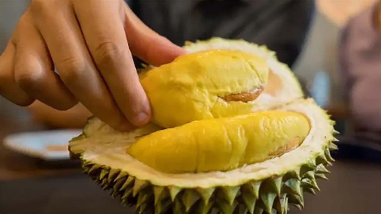 Heboh! Durian vs Obat-obatan: Ternyata Bukan Hanya Mitos! Plus 5 Buah Lainnya yang Bisa 'Bentrok' dengan Obat