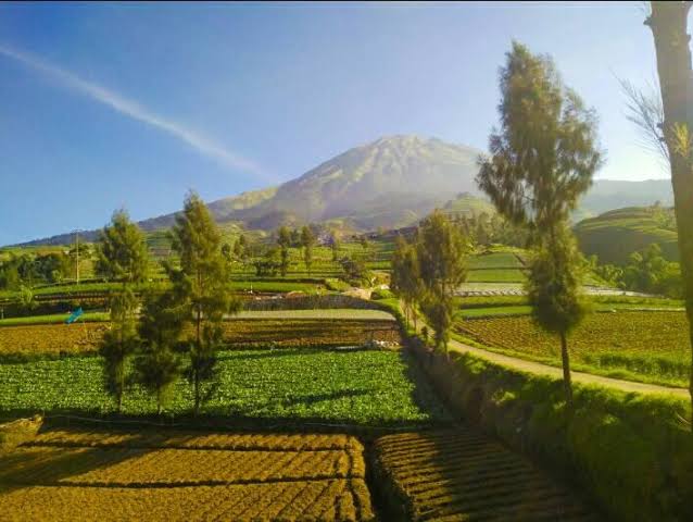 Negeri yang Paling Makmur di Dunia pada Akhir Zaman Menurut Rasulullah
