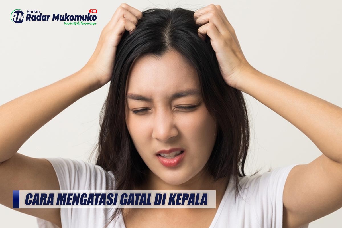 Gatal Pada Kepala Bikin Nggak Nyaman dan Juga Tidak Percaya Diri? Begini Cara-cara Mengatasinya