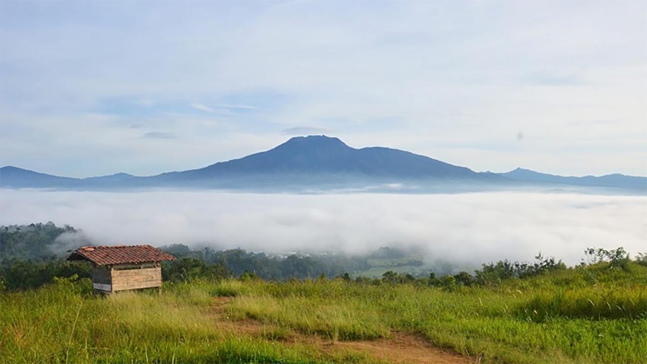 Tak Jauh dari Bengkulu, Liburan Akhir Tahun Wajib di Cobain Berlibur ke Bukit Kabut Bawang Bakung