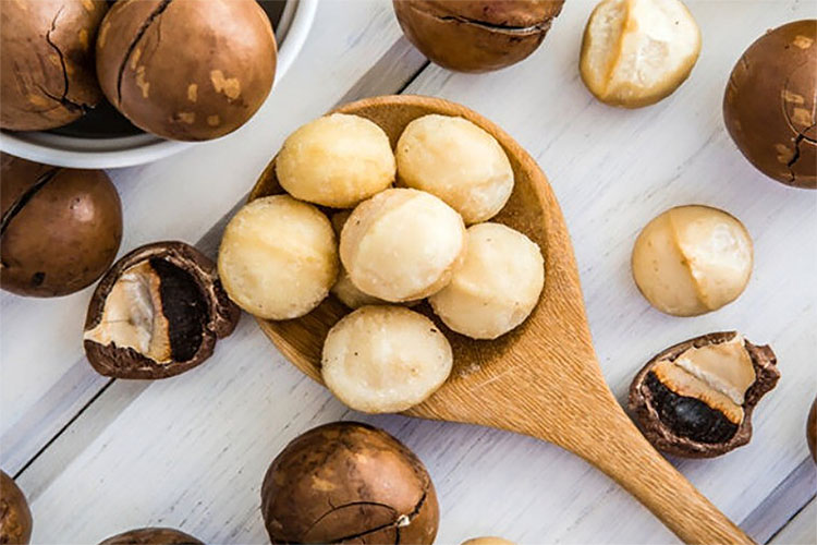 Segudang Manfaat dan Efek Samping dari Kacang Macadamia, Kacang Termahal di Dunia