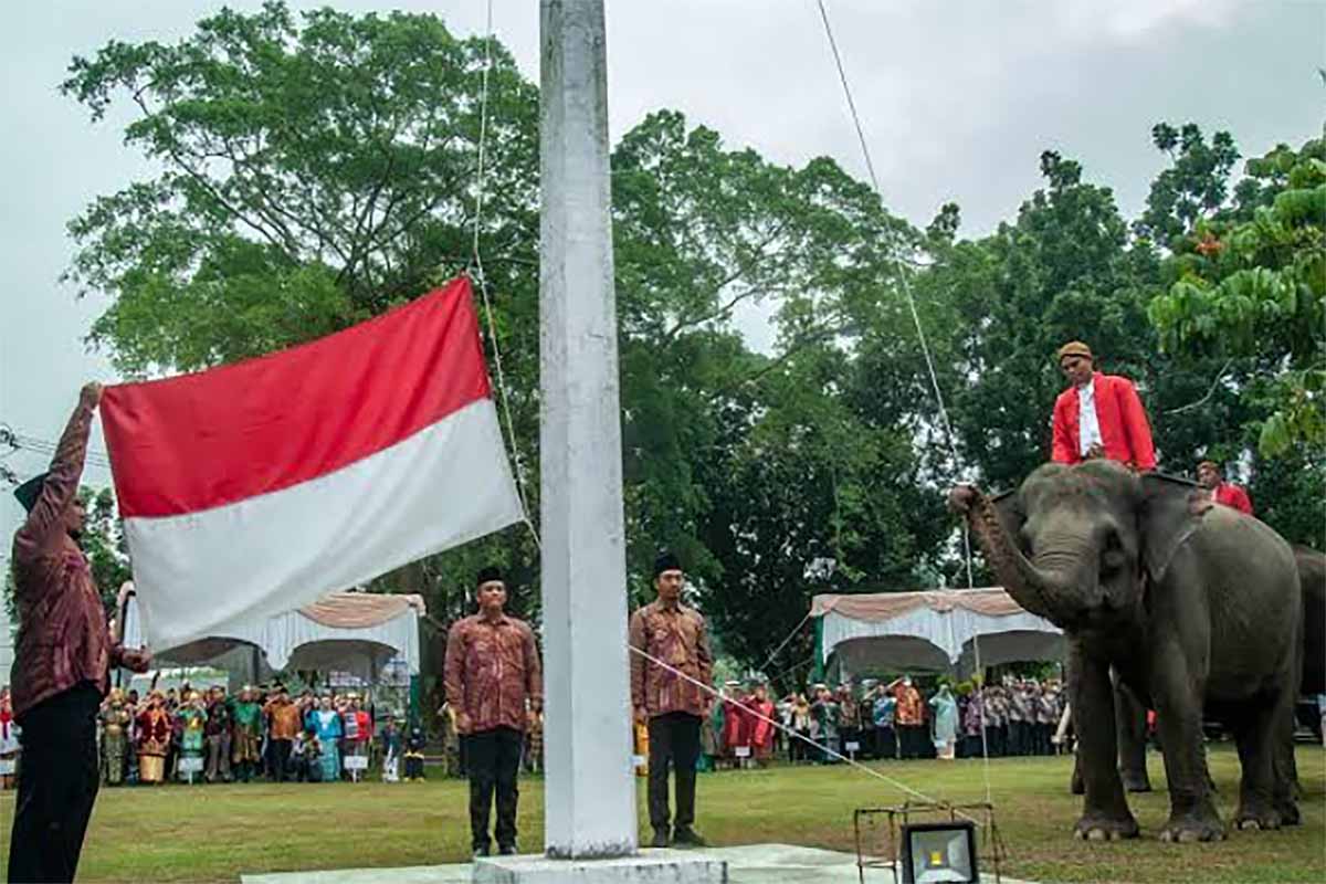 Pertama Kali di Riau, Kemeriahan Upacara Bendera Peringatan HUT ke-78 RI Diikuti Gajah Sumatera 