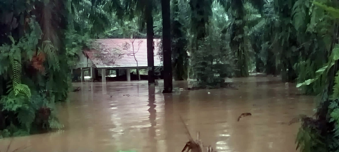 Hutan Rusak, Banjir di Mukomuko Semakin Ganas