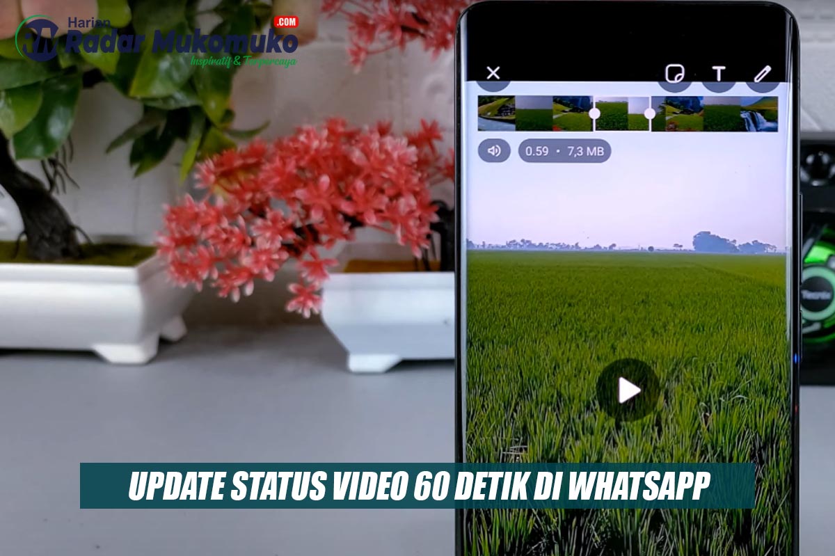 Sekarang Bisa Gunakan Video 60 Detik Saat Memposting Status WhatsApp 