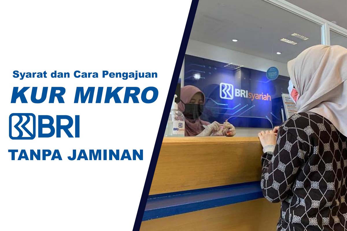 KUR Mikro BRI Rp 20 Juta, Rp 30 Juta Hingga Limit Rp 50.000.000 Tanpa Jaminan