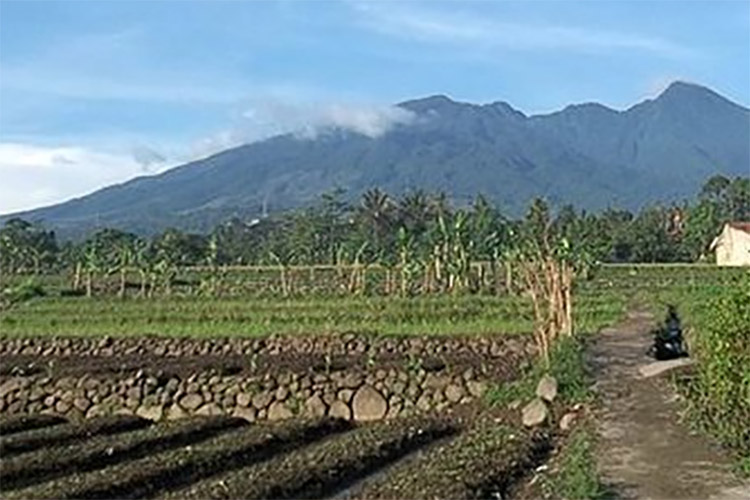 Memiliki Keindahan Alam Yang Mempesona, 5 Gunung Ini Memiliki Cerita ...