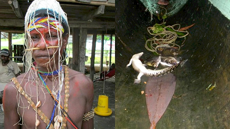 Suku Bauzi Papua, Ahli Pemburu Buaya dan Ular