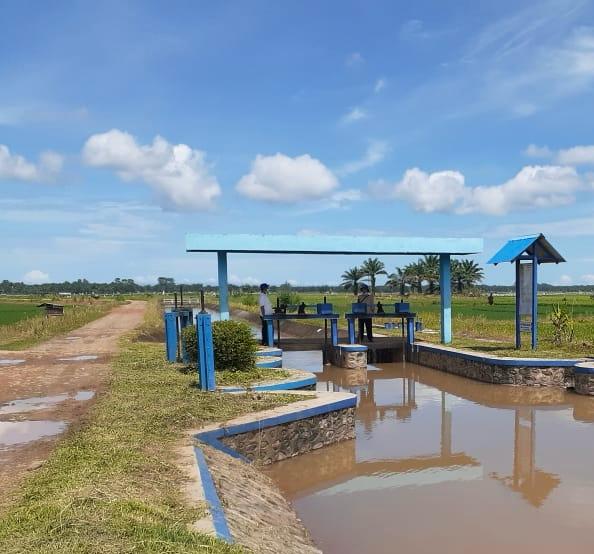 Petani Desa Sumber Makmur Berharap Jalan Inspeksi Irigasi Diperbaiki