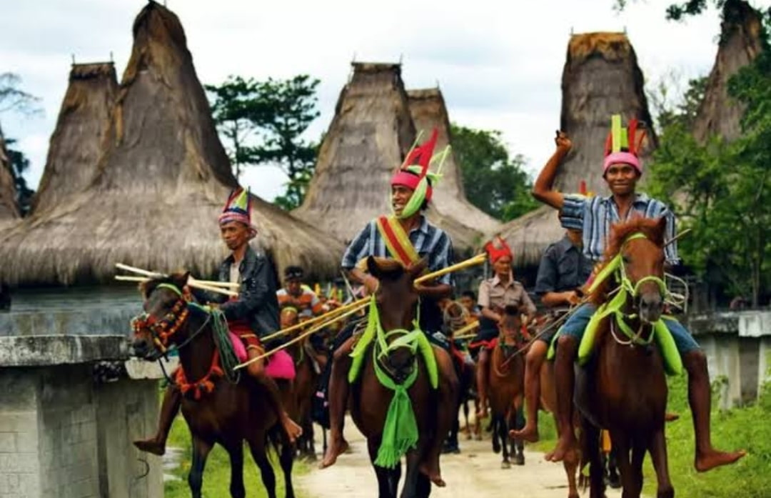 Tradisi Pasola Perang Adat, Darah Menyuburkan Tanah, Kisah Cinta Segi Tiga