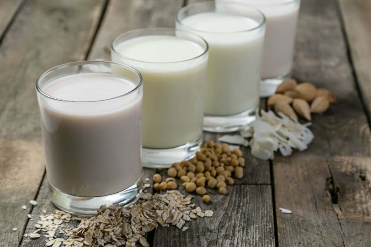 3 Susu Alternatif dari biji-bjian, Kaya Nutrisi dan Ramah Lingkungan Pengganti Susu Sapi