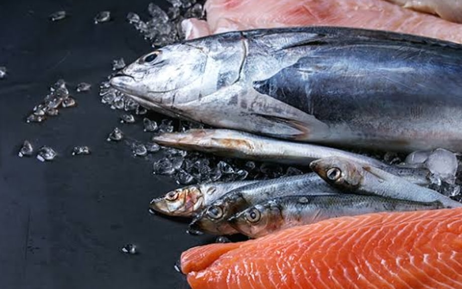 Rajin Makan Ikan Laut Membuat Seseorang Lebih Cerdas Ketimbang Makan Ikan Sungai, Berikut Perbedaannya