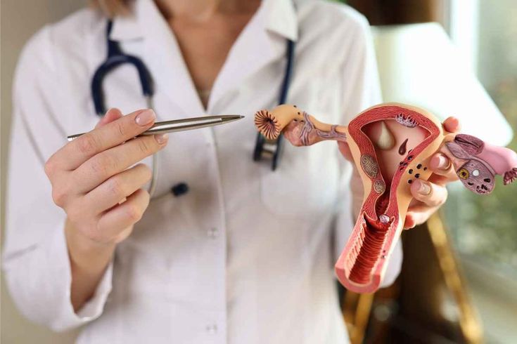 Konsultasi dengan Dokter Kandungan: Langkah Penting untuk Menjaga Kesehatan Rahim!