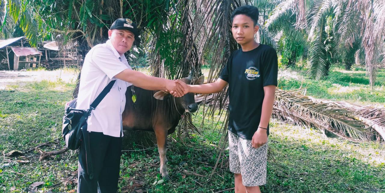 Retak Mudik Kembangkan Ternak Sapi dan Ikan Lele