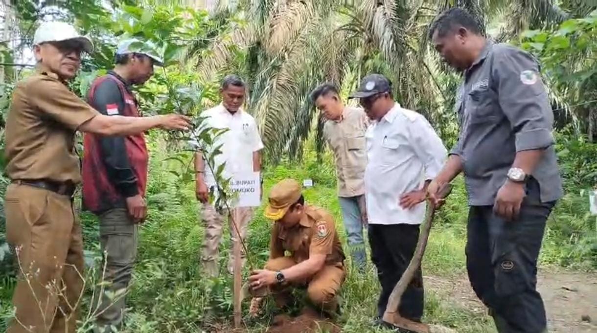 Pemda Mukomuko Bersama PT Agromuko Tanam Pohon Bersama, Menjaga Kesimbangan Iklim