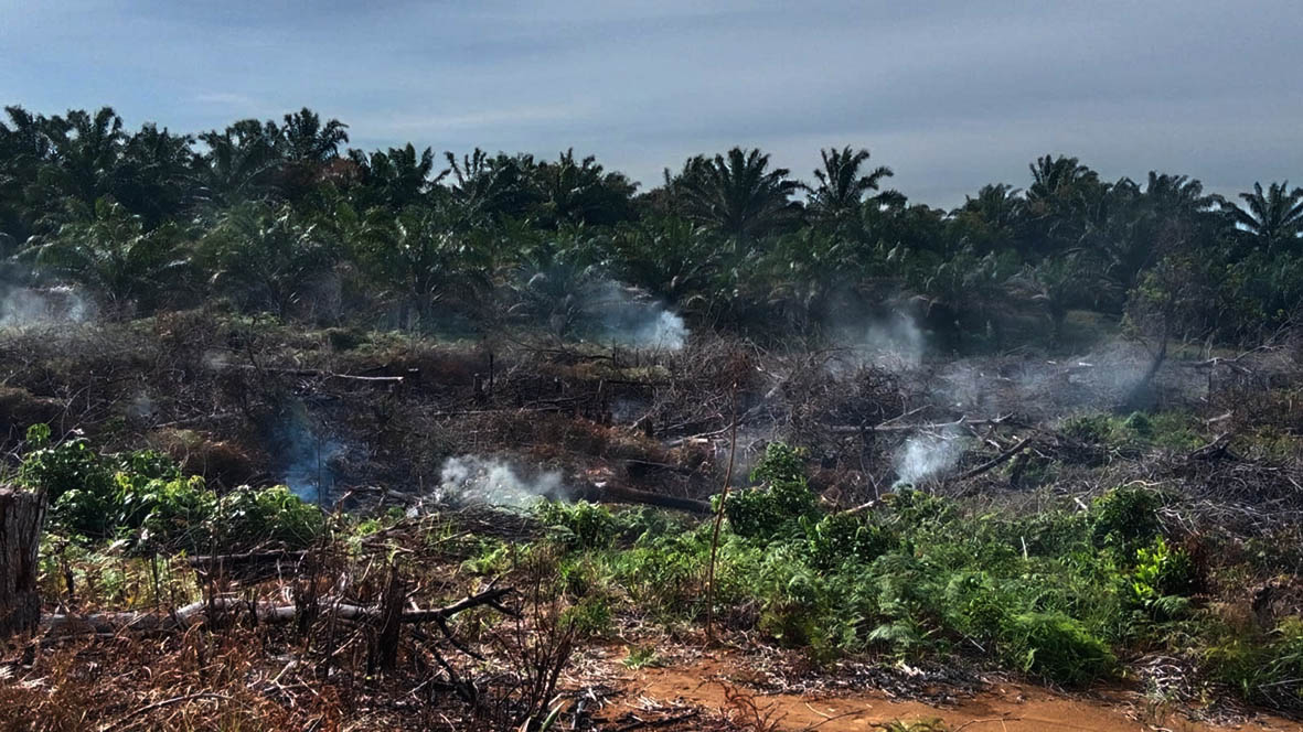 Siang Hari, Rumah Warga Dikepung Sijago Merah