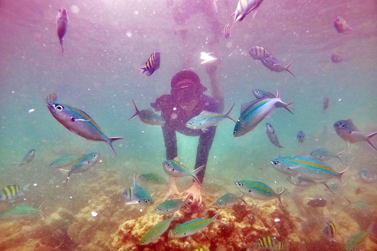 Snorkeling at Mandeh, Si Raja Ampatnya Sumbar!