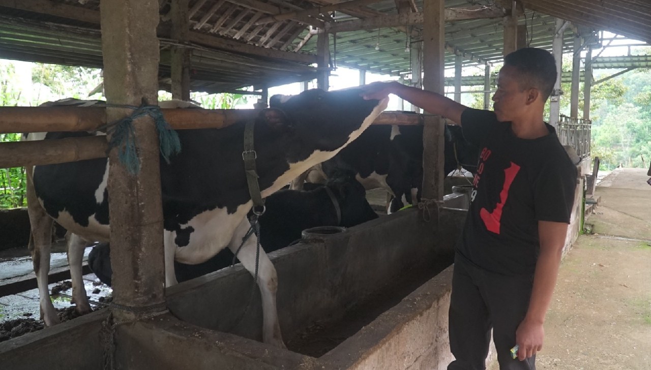 Pengusaha Pakan Ternak Asal PonorogoKisah Buktikan KUR BRI Bisa Bikin Usaha Berkembang
