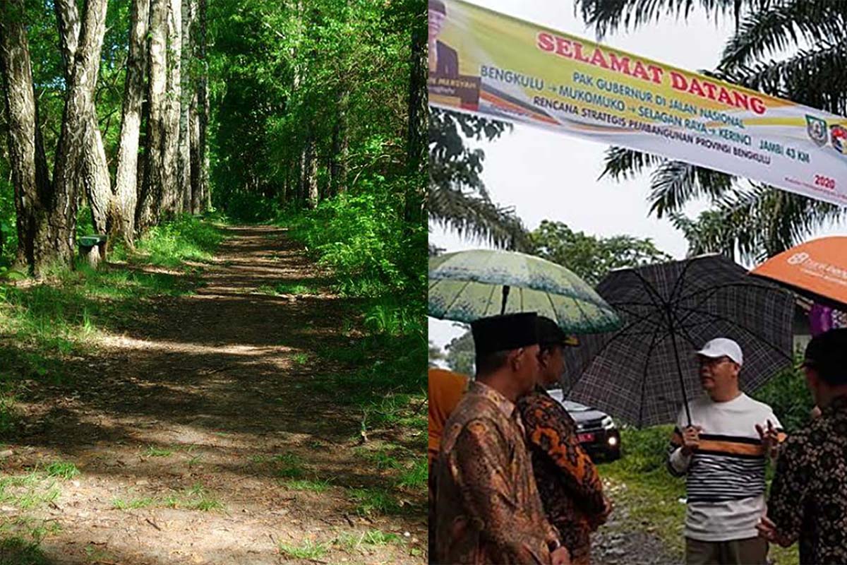 Kabar Terbaru Jalan Kerinci - Mukomuko Sudah Tembus Melaui Kawasan TNKS, Selisihnya Ratusan KM