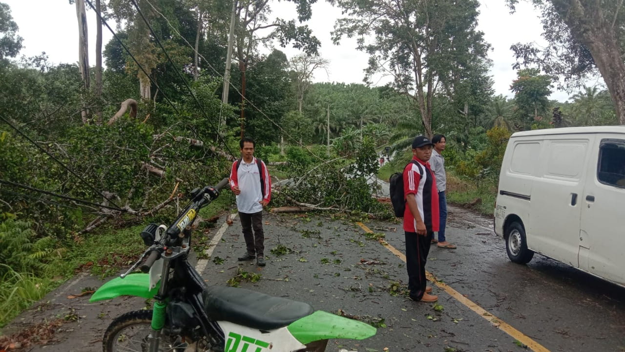 Hujan Disertai Badai, Pohon Tumbang Timpa Jaringan Listrik