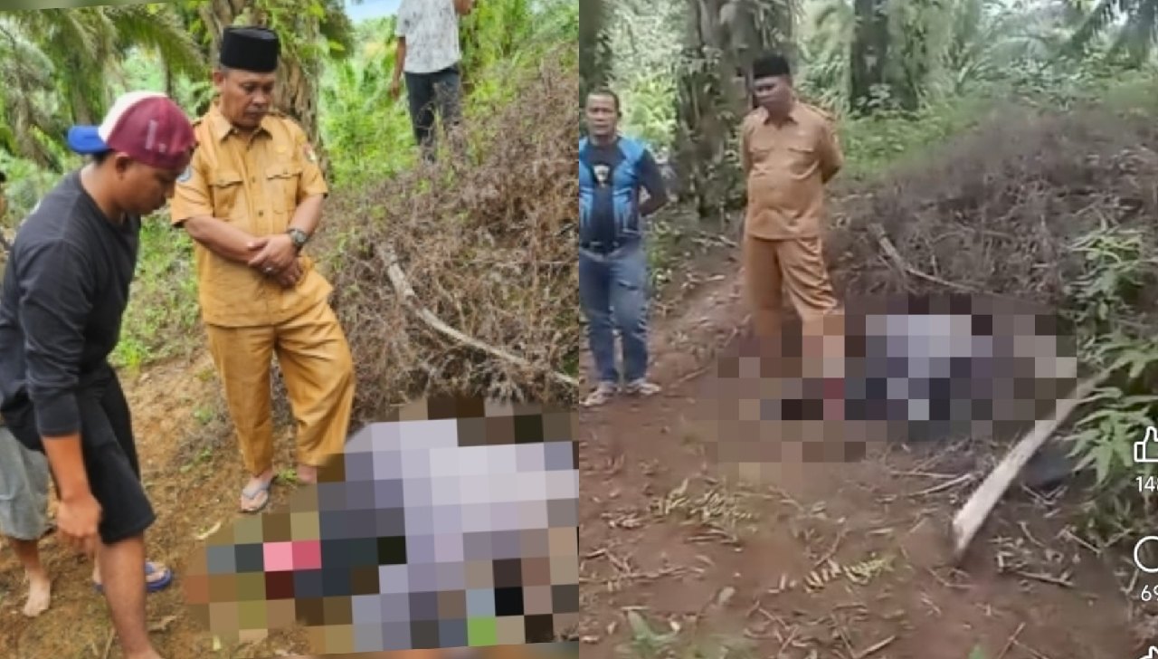 Ketua RT Desa Sidodadi Ditemukan Meninggal di Kebun Sawit, Berikut Hasil Visumnya