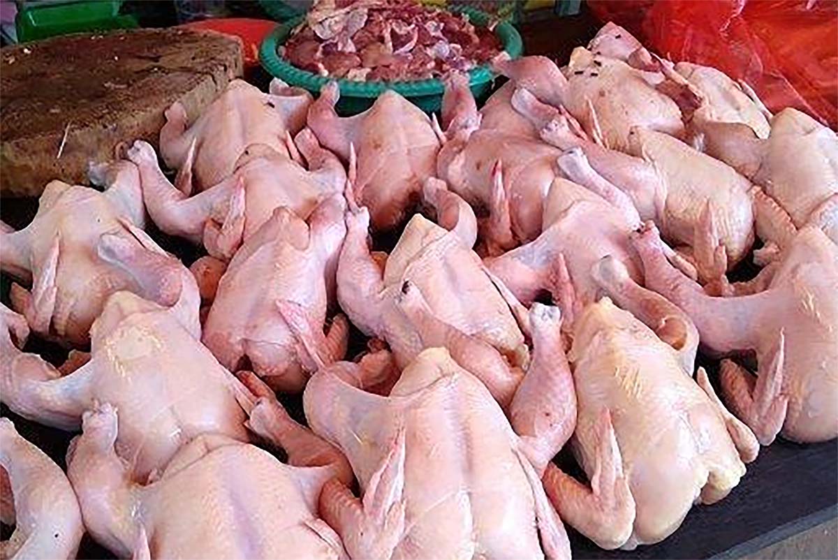 Cara Mengenali Ayam Tiren yang Dijual di Pasaran